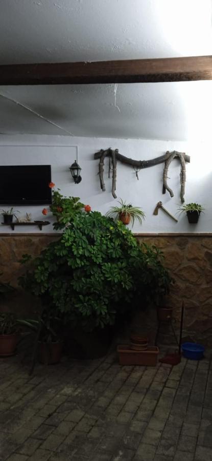 Casa Cueva El Almendro Konuk evi Pegalajar Dış mekan fotoğraf